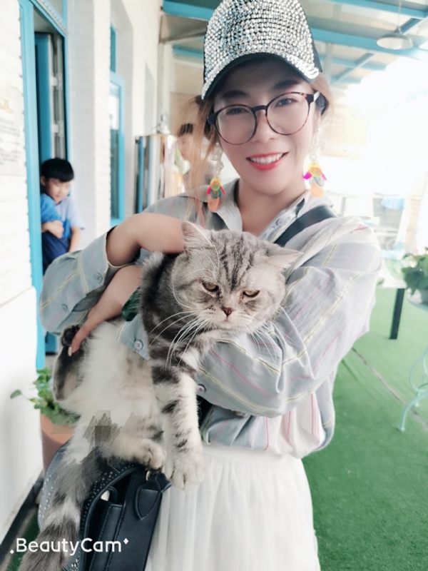 小黑猫的第一张照片--吉安相亲服务中心