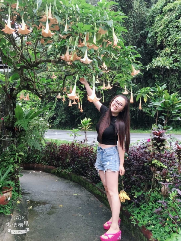 离异单身无子的第二张照片--吉安相亲服务中心