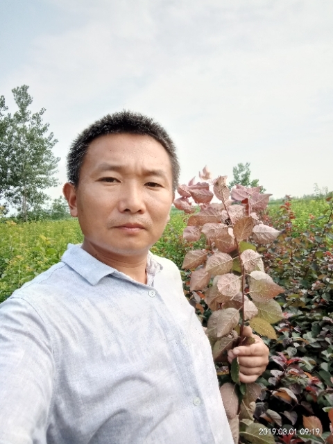孩子爸的第一张照片--吉安相亲服务中心