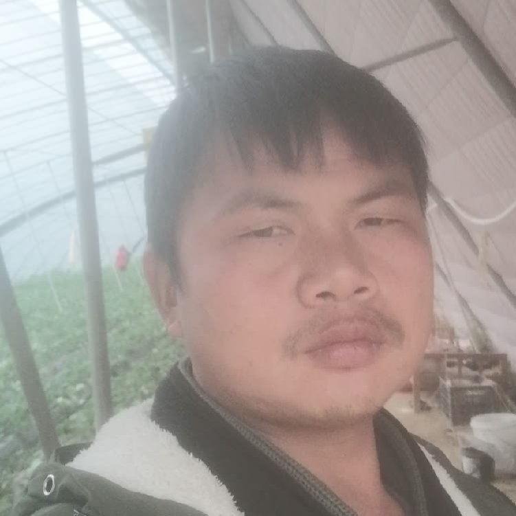 孤狼‘的第一张照片--吉安相亲服务中心