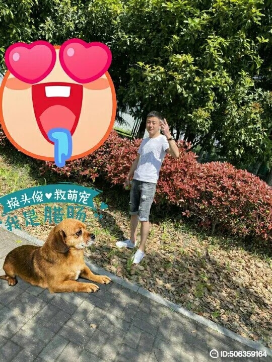 我若不坚强谁替我勇敢的第五张照片--吉安相亲服务中心