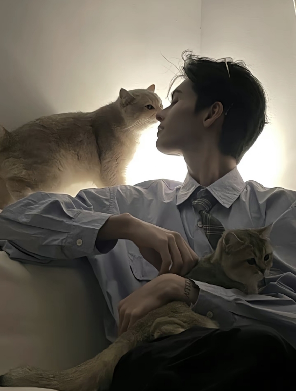 怪猫的第一张照片--吉安相亲服务中心