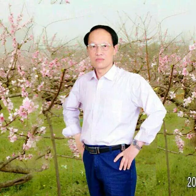 枫叶的第一张照片--吉安相亲服务中心