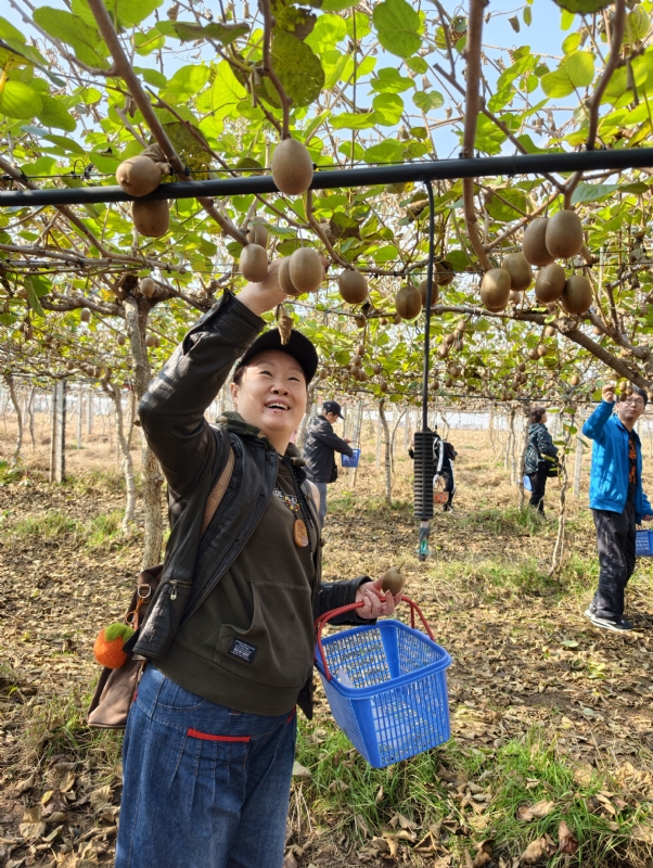 夜莺的第三张照片--吉安相亲服务中心